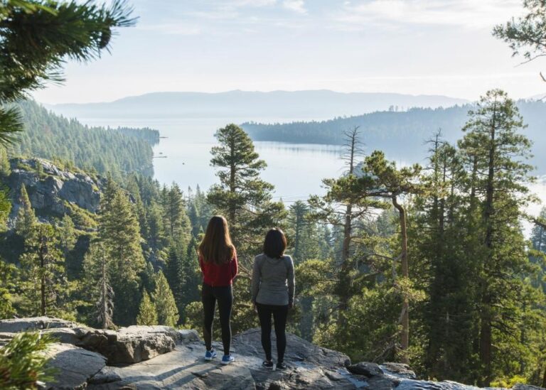 Achieve Your College Dreams: HUSTLE Hearts Foundation Scholarship 2026