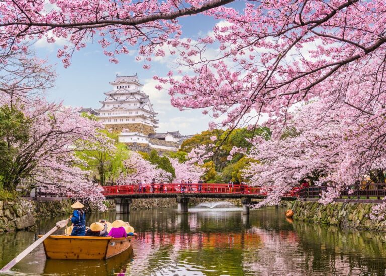 Launch Your Studies in Japan: Secure the Prestigious Rotary Yoneyama Memorial Scholarship!