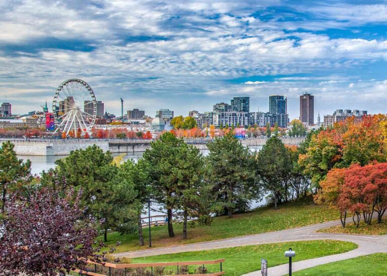 Unlock Global Opportunities: Université de Montréal Scholarships 2026