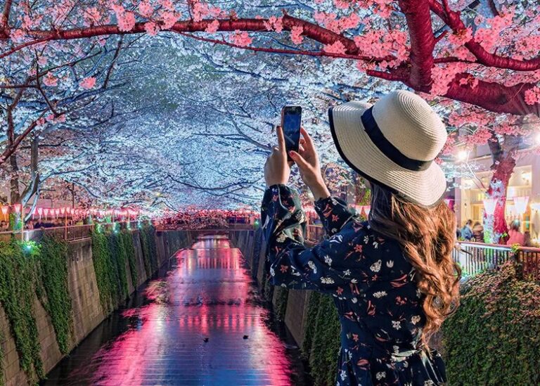 Advance Your Professional Journey in Japan: Apply for the AYF Fellowship 2026