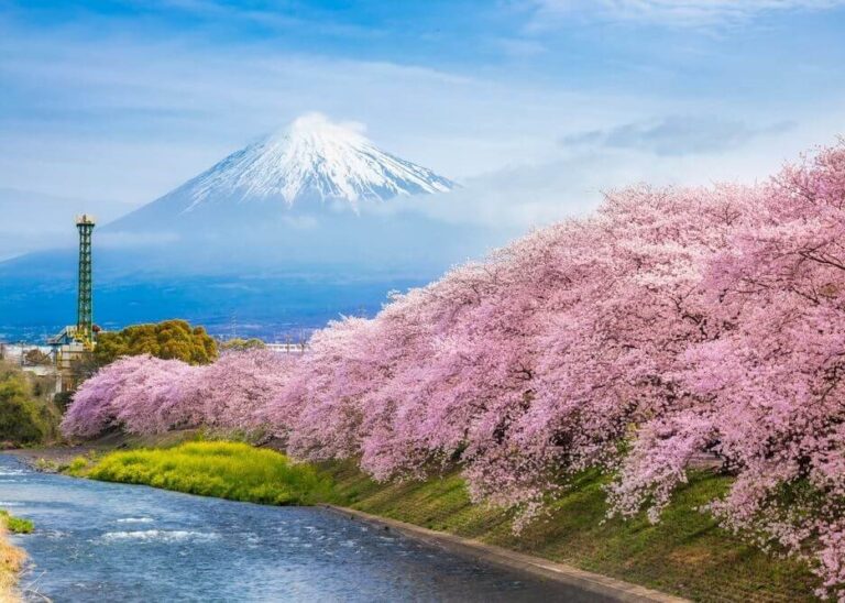 Launch Your Research Journey in Japan: Secure a Fully Funded Honjo International Scholarship!