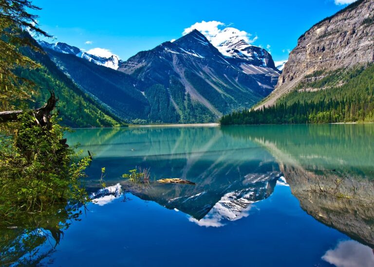 Advance Your PhD in Canada with the University of British Columbia Four Year Doctoral Fellowship 2026