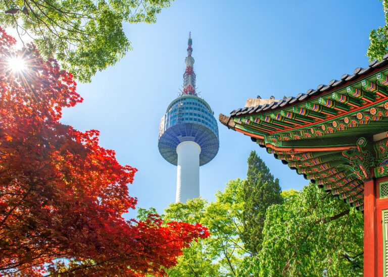 DGIST Summer Research Internship 2026 in South Korea (Funded STEM Internship Opportunity)