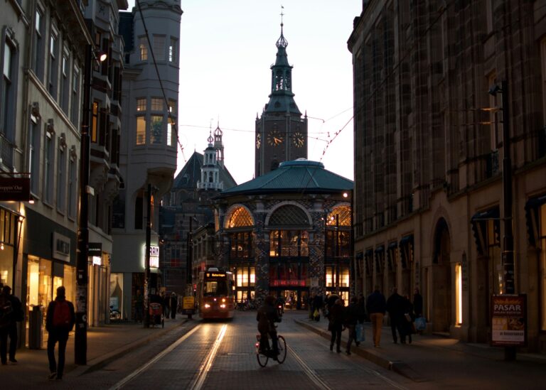 Erasmus University MBA Scholarships 2026–2027 (Netherlands Funding for Tuition & Living Costs)