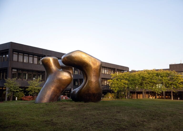 DAAD GROW Research Programme for the Global South