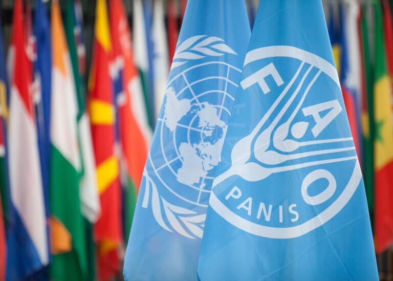 Paid FAO Internship 2026 in Rome, Italy