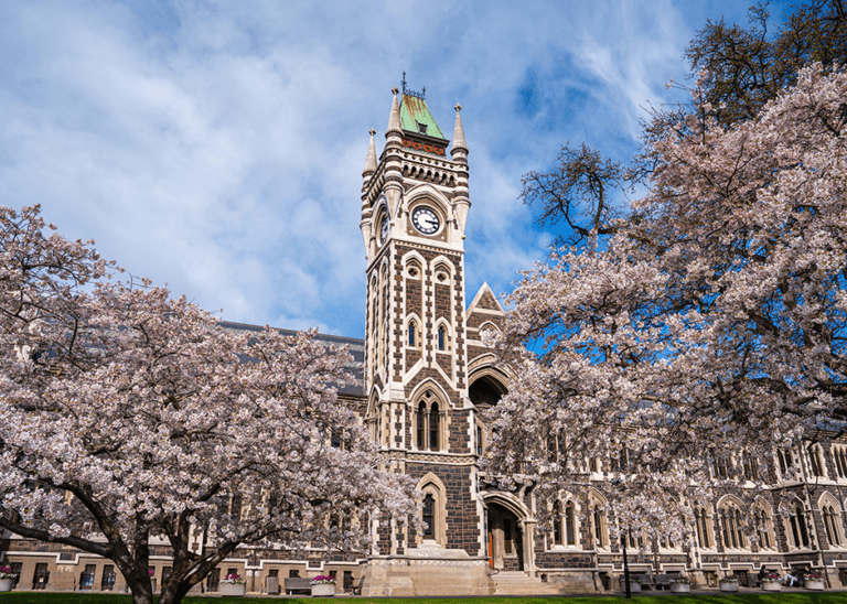 New Zealand University of Otago Doctoral Scholarship for International Students