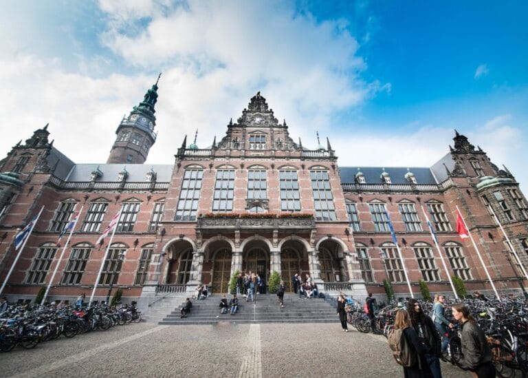 University of Groningen Eric Bleumink Fellowship for Master’s Programmes