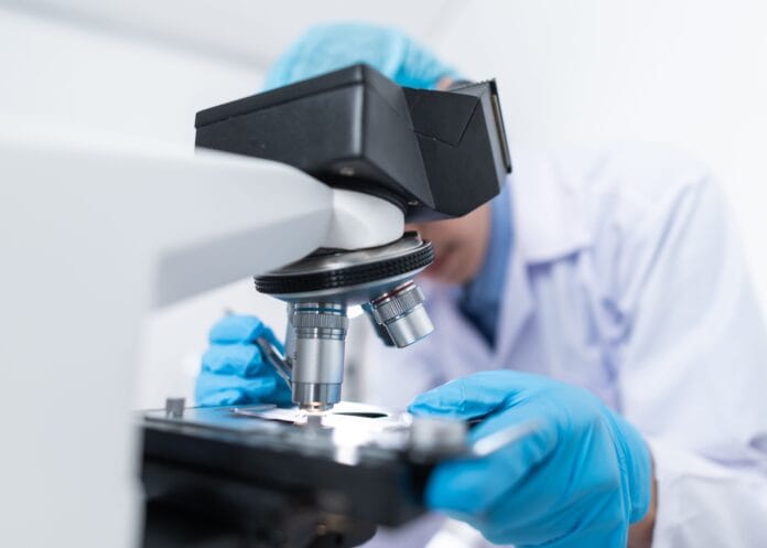 EMBO Postdoctoral Fellowships 2026
