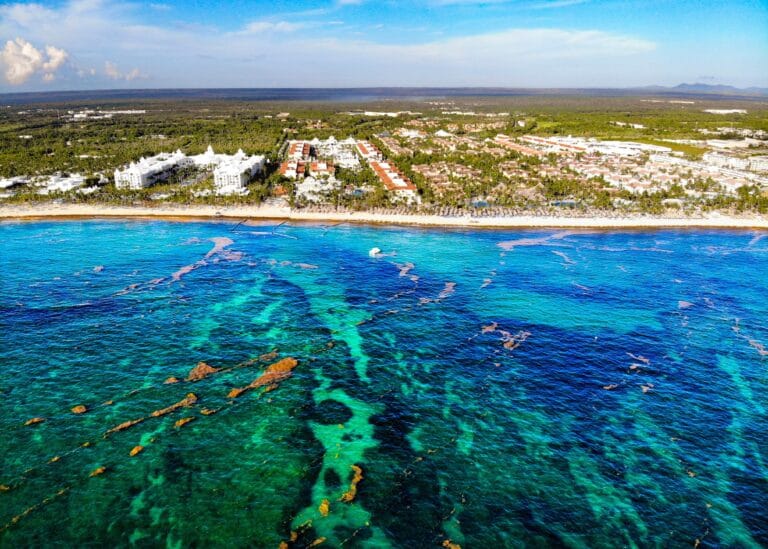 Caribbean Climate Leaders Fellowship 2026 – Fully Funded COP31 Experience in Türkiye